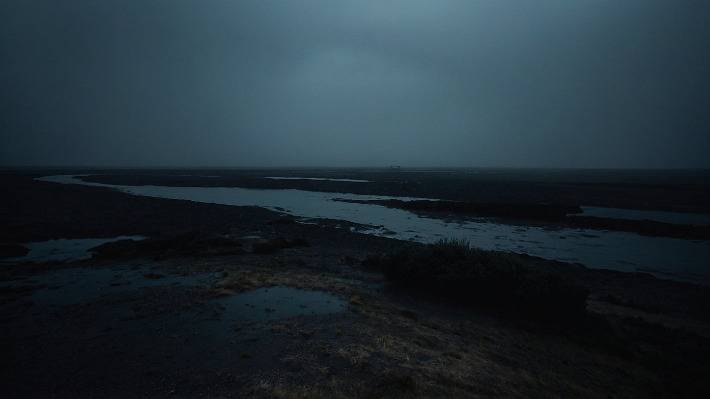 Wiedervernässung im Nebel