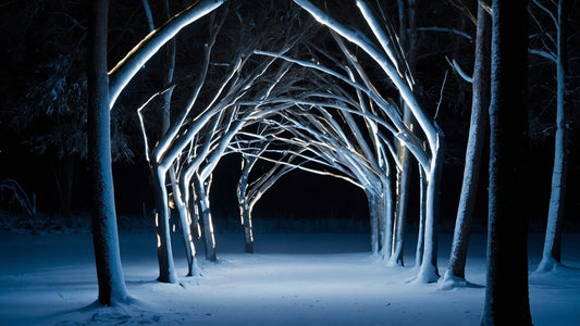 Schnowlights